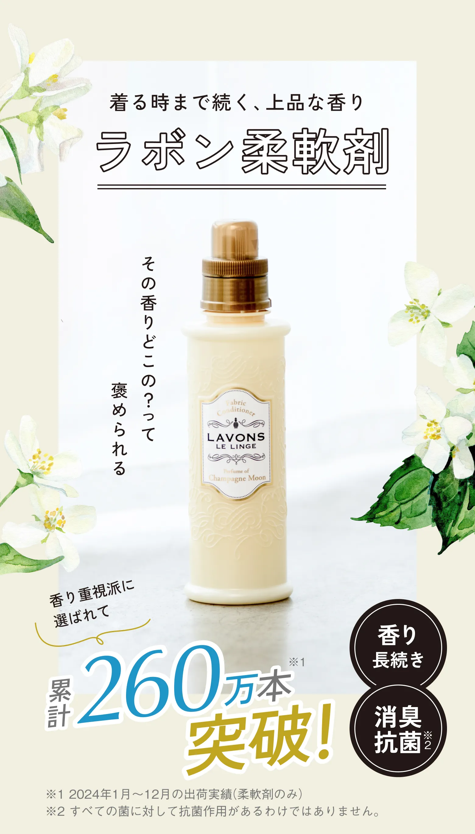 メインビジュアル画像